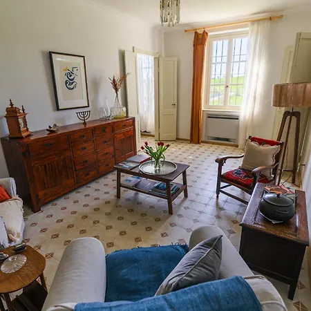 Barbera E Tulipani Scandeluzza