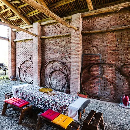 Bed & Breakfast Barbera E Tulipani