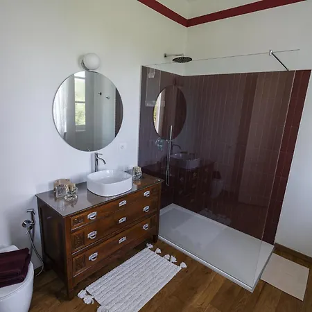 Barbera E Tulipani Scandeluzza