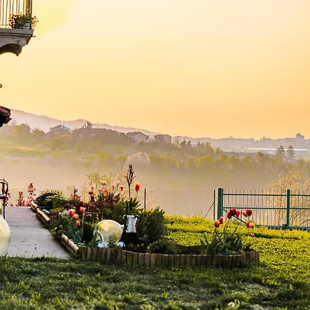 Barbera E Tulipani 3*