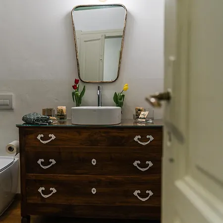 Barbera E Tulipani Scandeluzza