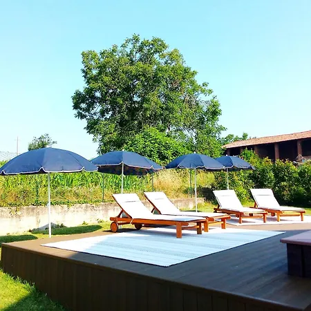 Barbera E Tulipani Scandeluzza