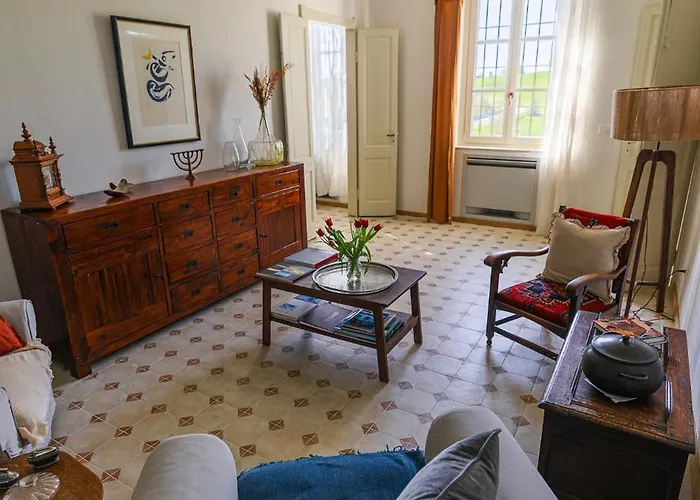 Barbera E Tulipani Scandeluzza