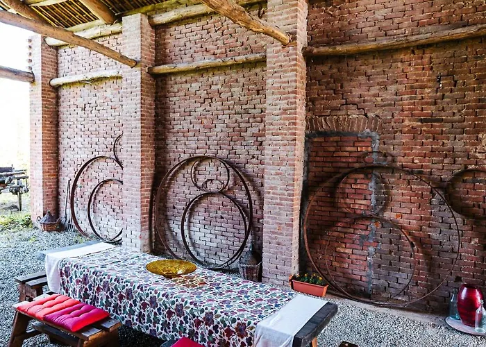 Couette-café Barbera E Tulipani