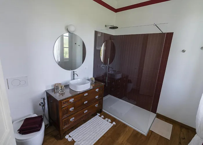 Barbera E Tulipani Scandeluzza