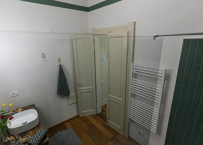 Barbera E Tulipani Scandeluzza